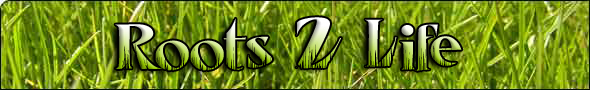 Roots2Life
